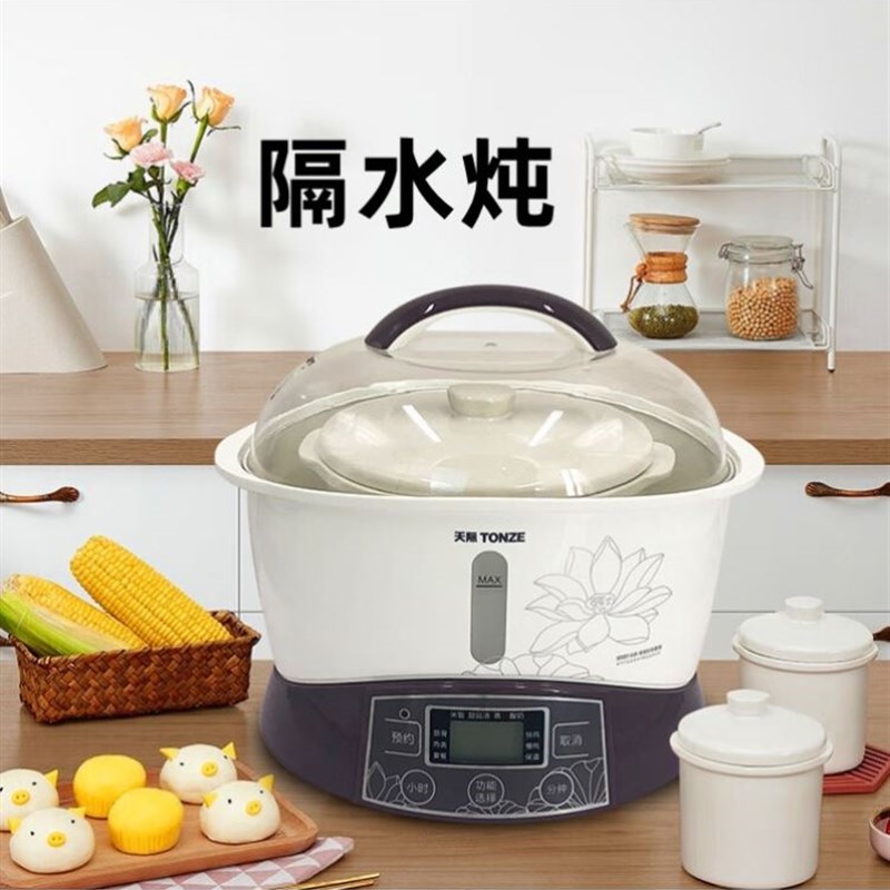 隔水炖锅家用2025新款煲u汤锅全自动燕窝炖盅隔水炖大容量家用陶