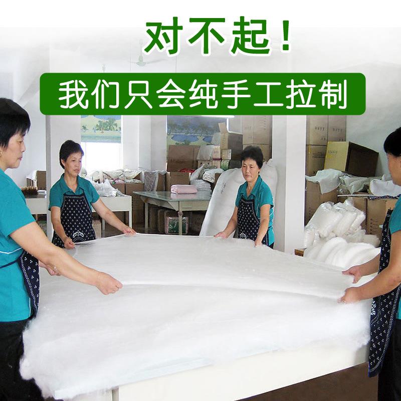 LBR厂家销蚕丝被光裸丝丝桑蚕优等双宫胎长丝被芯天直然