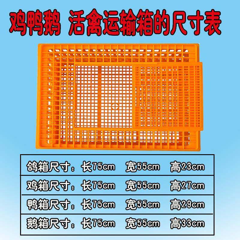 鸡用鸭转周转箱/运输鸡笼/成鸡运输笼周NDT箱鹅鸽运输笼鸡箱框,农机/农具/农膜,农用防护器具,淘宝优惠券,粉丝福利购,淘宝优惠卷