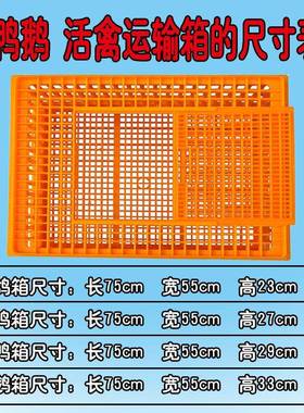 鸡用鸭转周转箱/运输鸡笼/成鸡运输笼周NDT箱鹅鸽运输笼鸡箱框