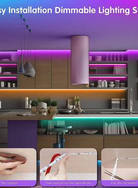 私模LE蓝牙灯带505333650音乐控麦克风灯带A条PP智能5D05声0灯滴