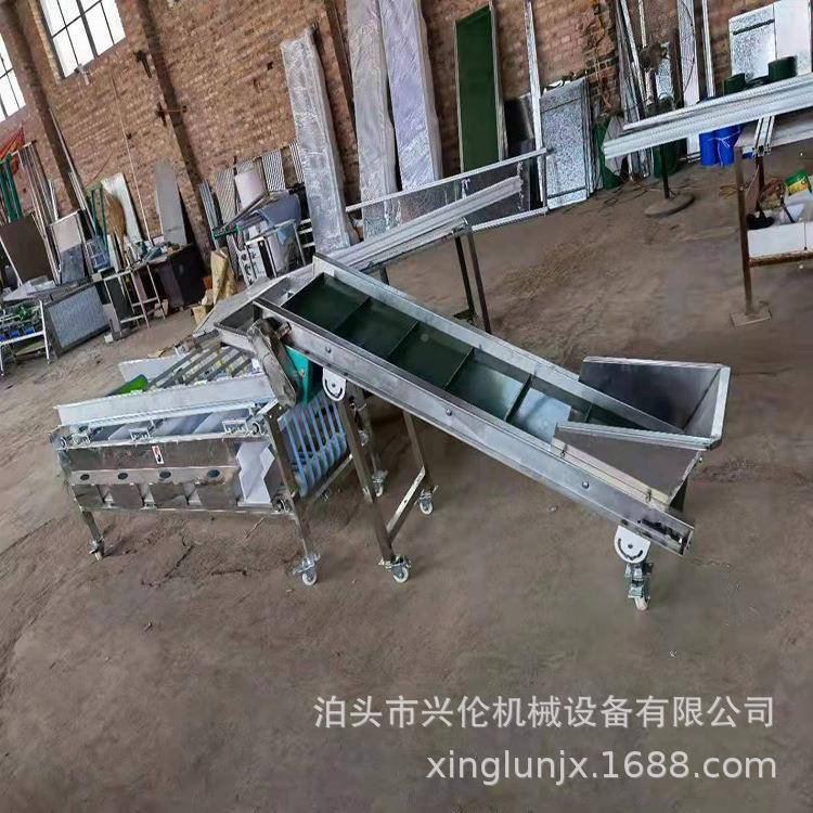 油茶果分选机脐果橙分筛级机黄皮果选设备耙THF耙柑分果选机机器