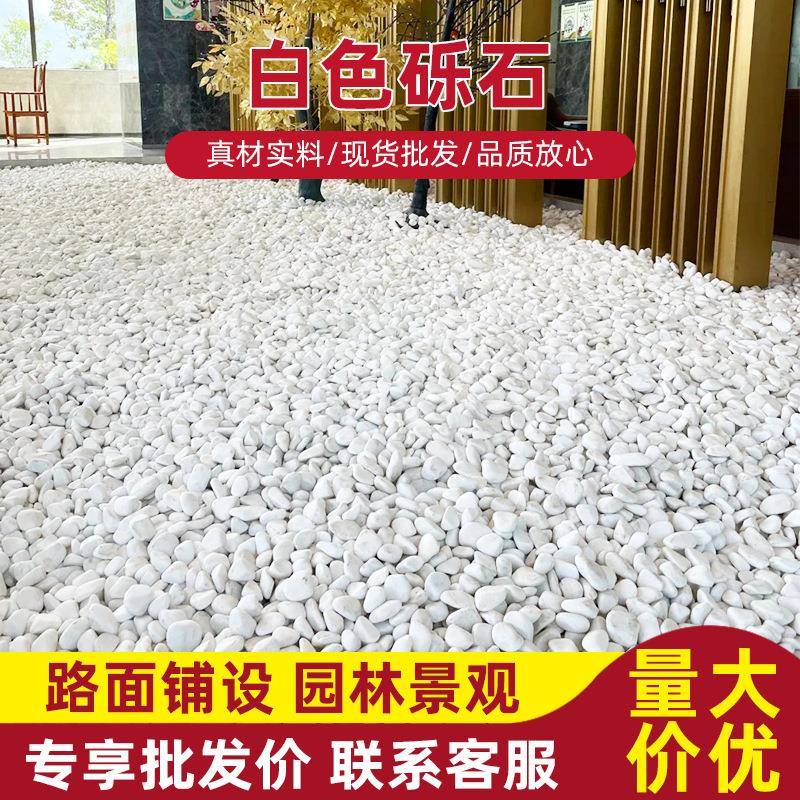 白色花砾石白鹅石子卵石雪白林铺白色砾石路雨花石碎石水洗石园南