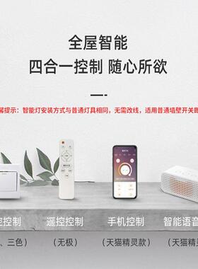 客厅2灯TZ663套025年新现款轻奢大气高家用灯具简约代组合全屋档