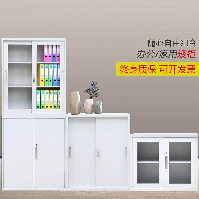 铁皮带文件柜档案柜小型对开矮柜办公室地柜储LSAG-01物工柜具柜,商业/办公家具,办公储物柜,淘宝优惠券,粉丝福利购,淘宝优惠卷