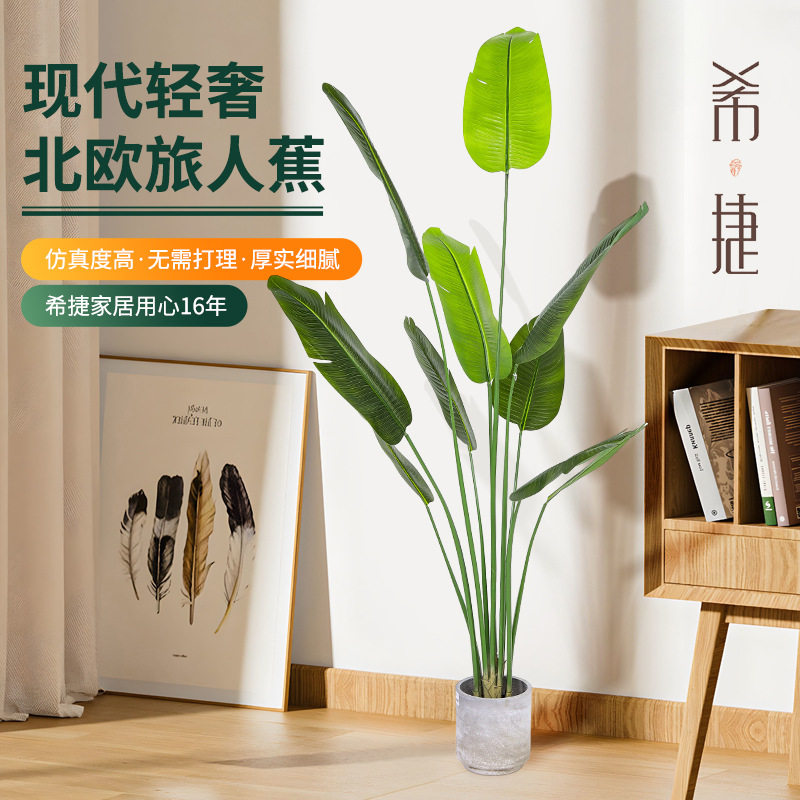 仿真双杆胶布旅人蕉盆栽室内造景绿植装饰摆件多规格旅人蕉现货
