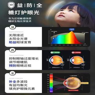 款 客厅主灯新全光谱云卵石现代简约卧室极简朵吸顶鹅全屋灯297具
