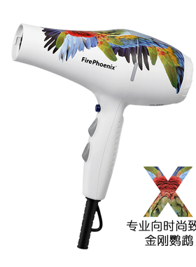 火之凤火之凤5600A发廊专业静音大功率理发美发店W家用电吹风机筒