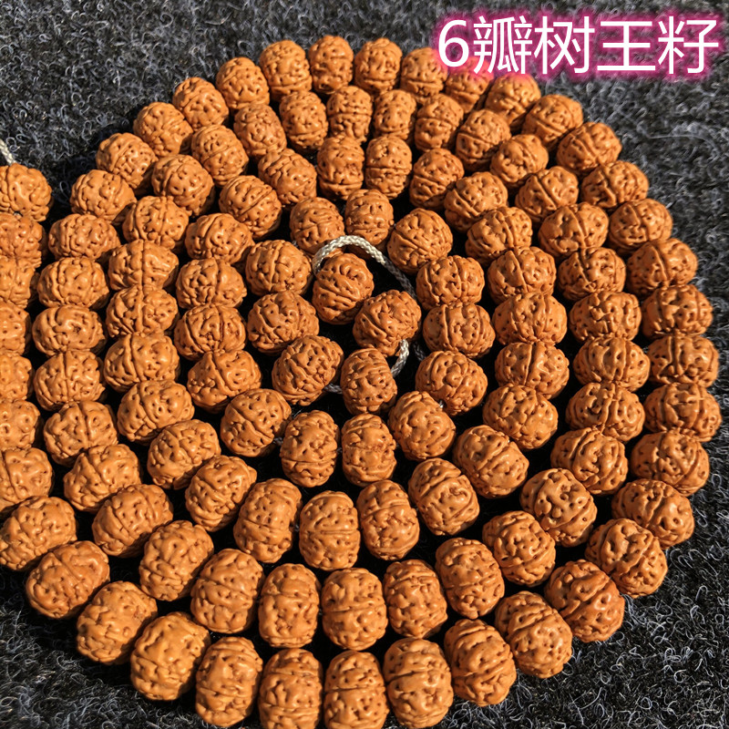 一代树神树王f花王小金刚菩提子108颗蜂窝双龙纹矮桩树王籽