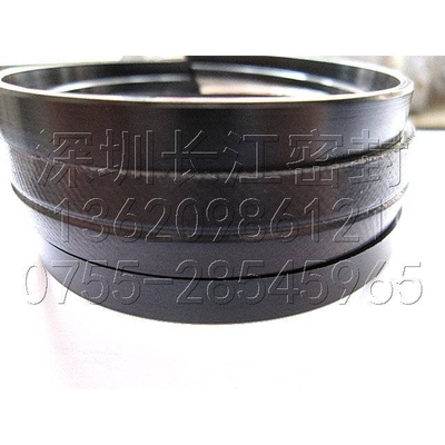 德国SK11 125-108-18.55-26MERKEL FREUDENBERG SK20进口组合油封