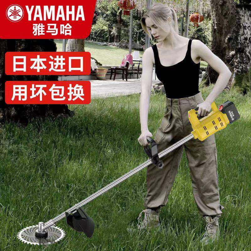 DSG进口电携动割草机充式型家用电便式大功率多功能农用锂电打小,农机/农具/农膜,割灌机/割草机/油锯,淘宝优惠券,粉丝福利购,淘宝优惠卷