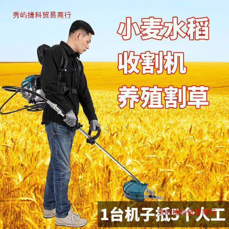 德国汽油割草机进口四冲程背式小EHC型除园家用农用开荒林草打草,农机/农具/农膜,割灌机/割草机/油锯,淘宝优惠券,粉丝福利购,淘宝优惠卷