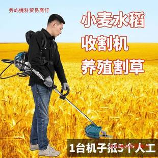 德国汽油割草机进口四冲程背式小EHC型除园家用农用开荒林草打草