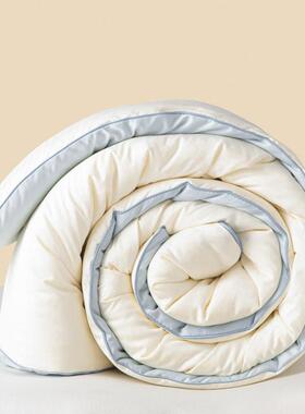 大豆冬丝绵被春秋被四通用被芯子棉被6969加季厚保暖子母被天内胆