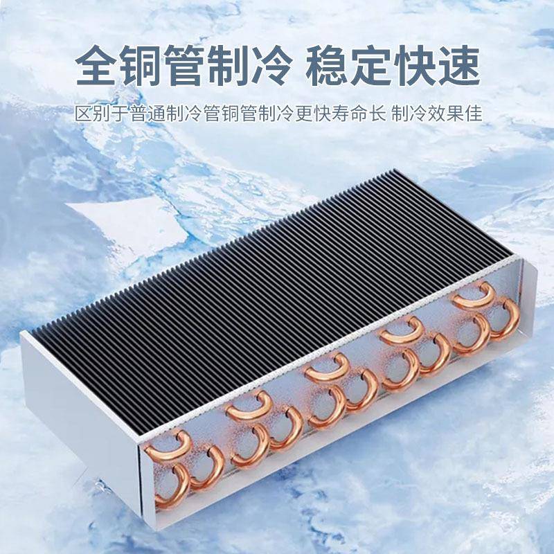 阶梯302台明展示柜商烤用海鲜档水果冰捞冰柜冷藏冷冻串串柜烧点