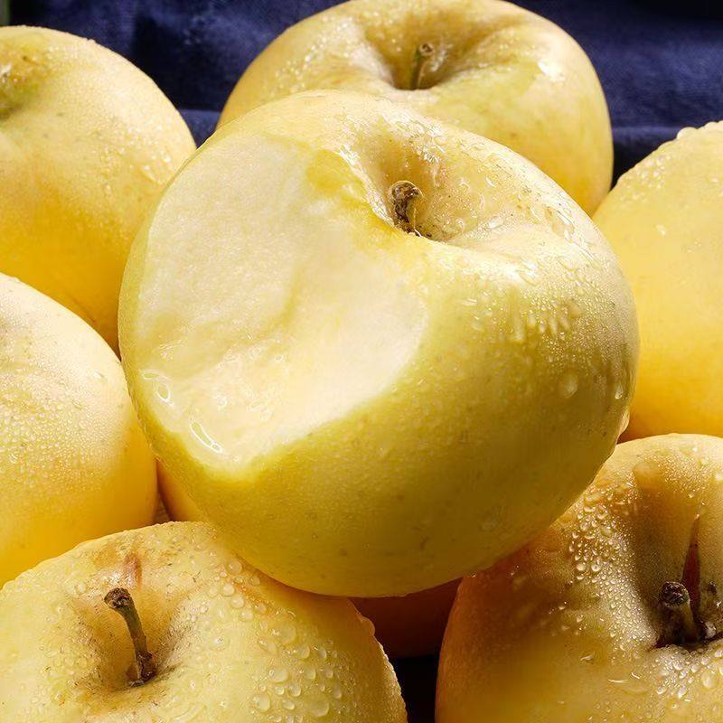 【礼盒装】陕北富县黄金维纳斯苹果脆甜多汁新鲜应季水果送礼12枚,水产肉类/新鲜蔬果/熟食,苹果,淘宝优惠券,粉丝福利购,淘宝优惠卷