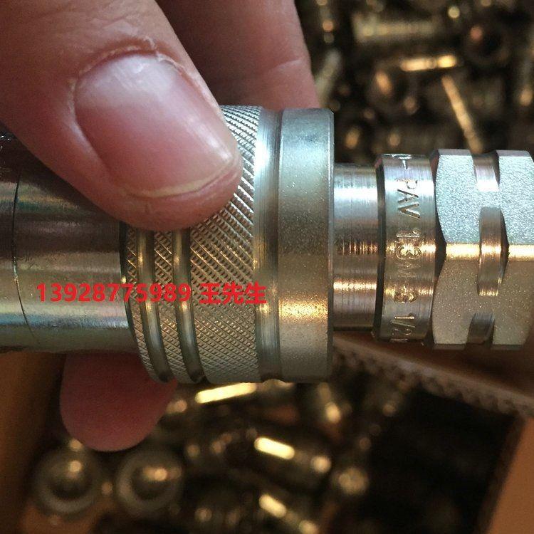 PVM1.0606.003意大利DNP