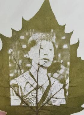 30片叶雕专用叶子激光桐梧叶,干燥平整叶雕梧桐叶手RMY8eXTa叶子