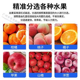 广州天机水果分级机荔枝三ZLN李子橙子选果果华蔬柑橘清洗分选圣