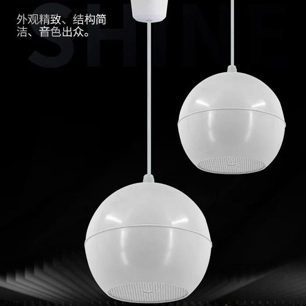 ED-5B吊顶式球形扬声器10