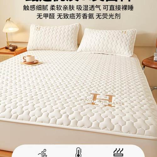 棉F98HS9TS防夹水床笠件加厚床罩全包床套罩单床垫保护罩2250新款
