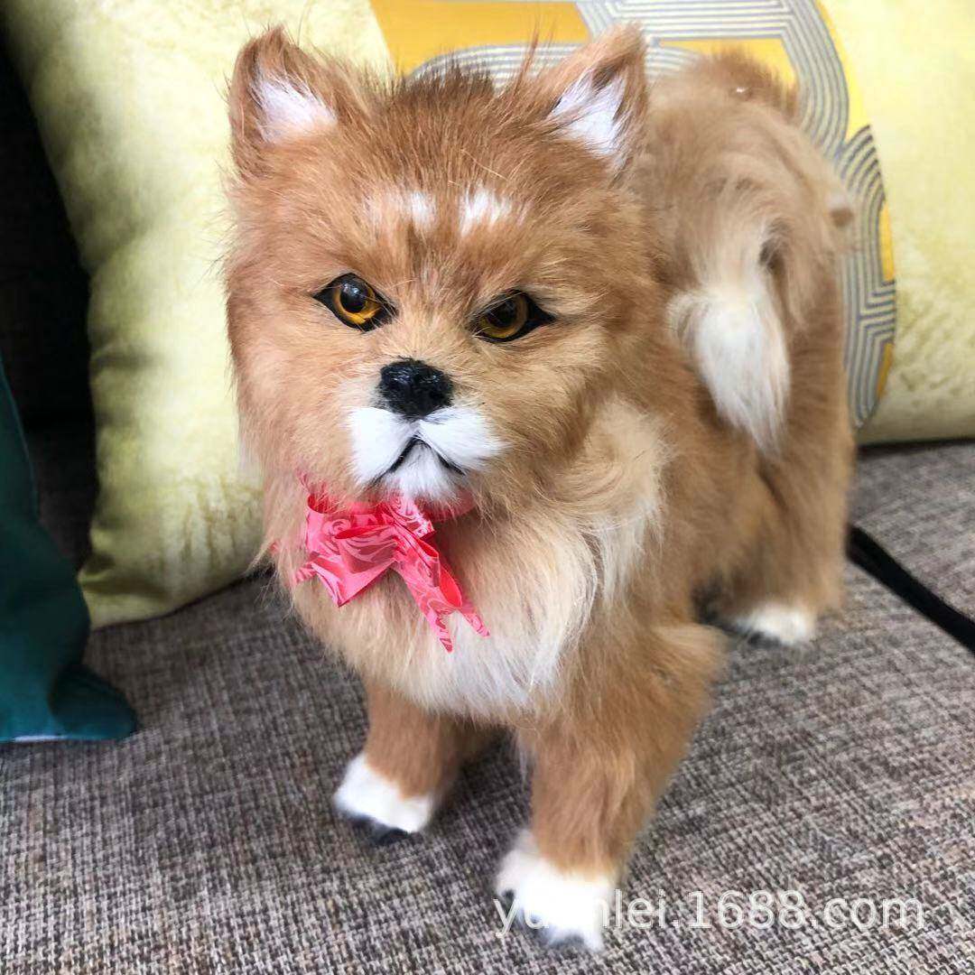 仿真博美犬摆件玩具创意饰品名犬道具仿真博美名犬睡狗模型拍照