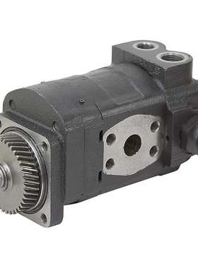 价格需核实 丨CASAPPA丨 丨齿轮泵丨液压马达丨KP30.43-67/20.14