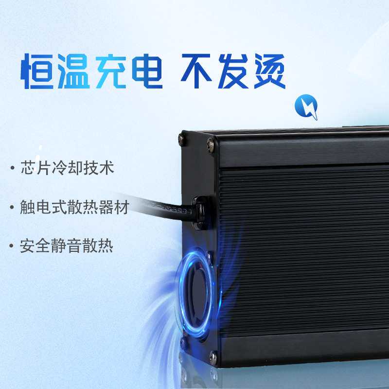 电动自行车充电器48V10A铅酸锂电池专用C600M自动断电充电机