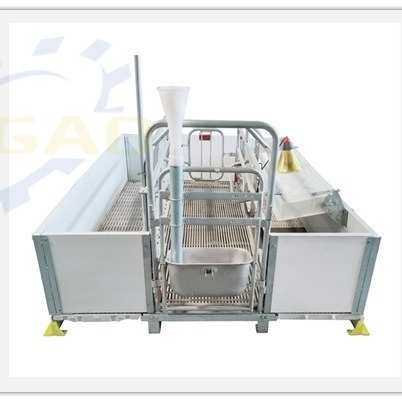 养猪场母猪产床单体双休连排欧式产床分娩床产仔箱