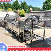 商用果蔬清洗机生产线 圣女果洗果机海鲜清洗鼓泡喷淋气泡清洗机