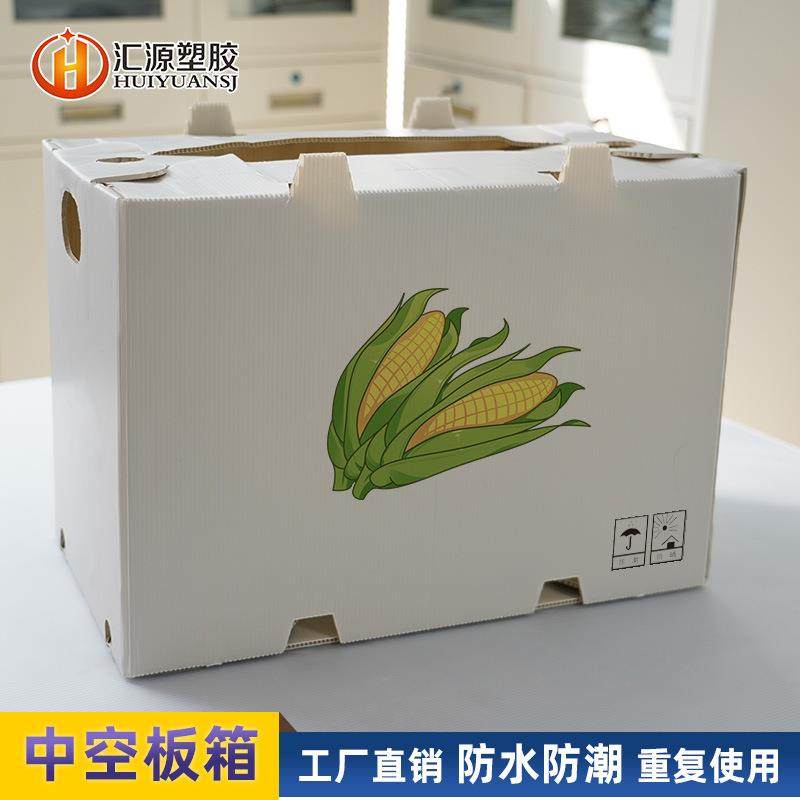 供应中空板箱蔬菜水果包装箱转运箱加厚防水pp塑料箱中空板箱,包装,塑料周转箱,淘宝优惠券,粉丝福利购,淘宝优惠卷