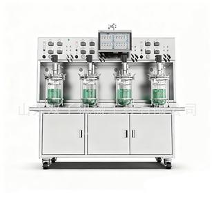 微生物培养罐实验室多联平行玻璃发酵罐小型全自动不锈钢发酵罐