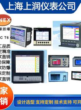 WP-S403-02-12-HL-P-R智能单屏数显控制仪 数字显示报警器
