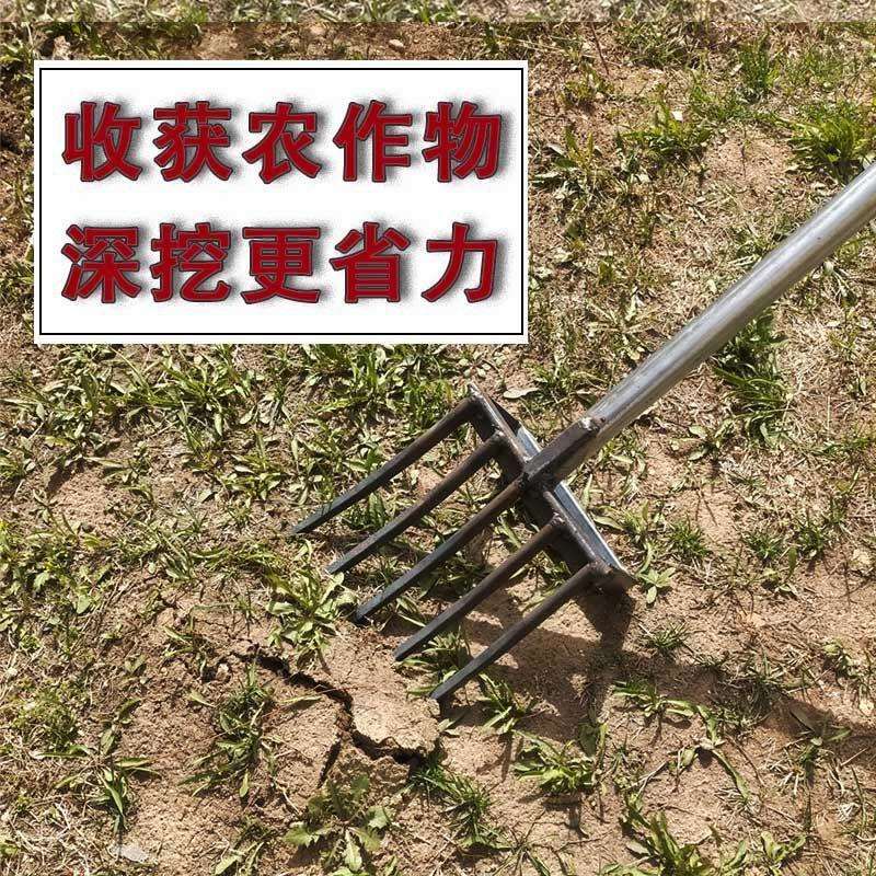 钢叉翻地神器松土叉子挖蒜挖姜工具四齿五齿锰钢一体开荒挖大葱叉