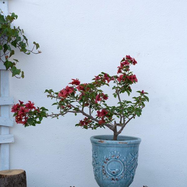 欧式风格陶艺花盆 粗陶挂釉 冰裂纹灰兰色高脚杯鸟盆 陶盆2色可选,家居饰品,花盆,淘宝优惠券,粉丝福利购,淘宝优惠卷