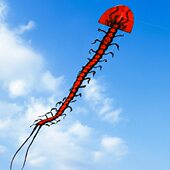 蜈蚣风筝大人专用2024年新款 超特大型号高档网红中国风立体长尾