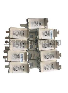 170M2666 170M2667 快速熔断器  电子元器件 型号齐全 量大价优