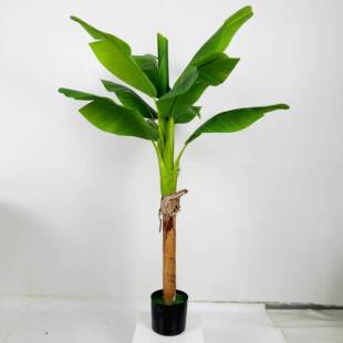 植1.5米芭仿真绿盆栽大型旅人蕉盆景内居家室装饰摆件芭蕉树假树