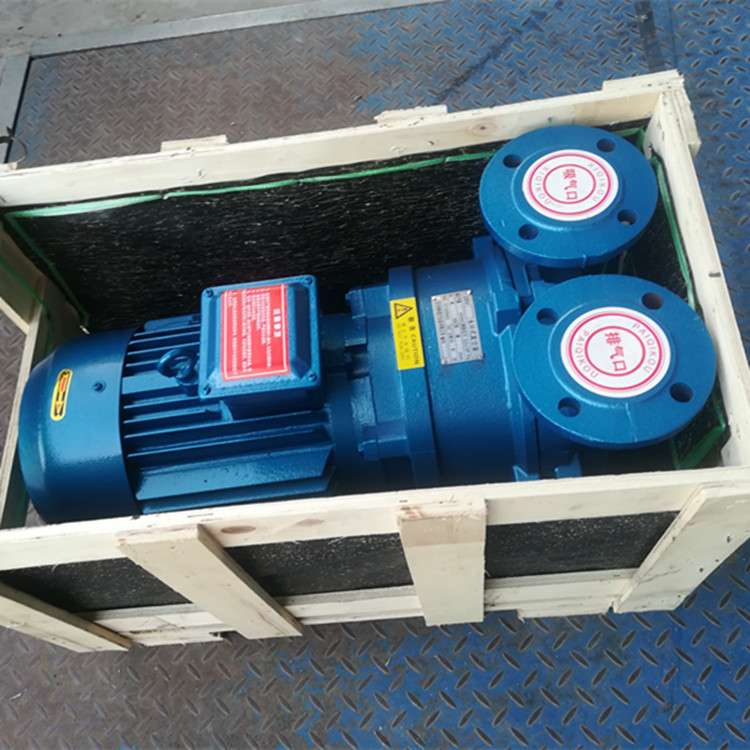 4KW2BV5110水环式真空泵供应全铜电机质量保证深圳水环真空泵厂家