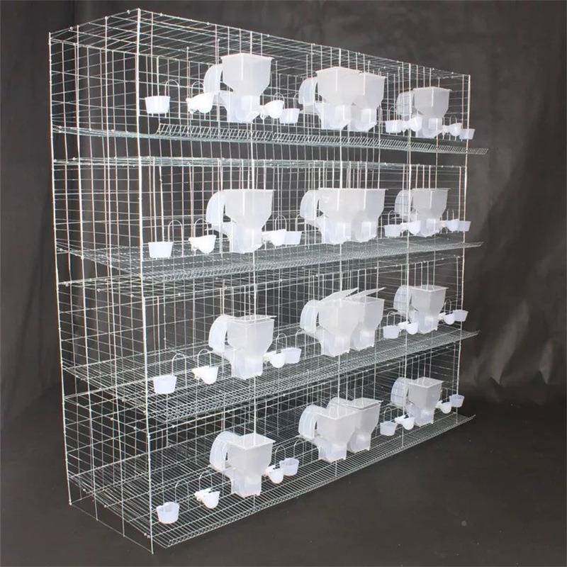 1两6位鸽子镀锌.鸽笼12位白肉蛋鸽用养殖笼场18米4层16位EDB鸽子