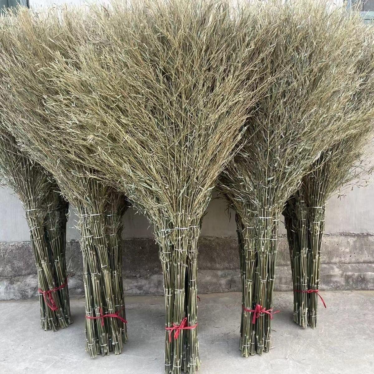 环卫新款扫把清洁马路扫
