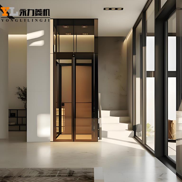 家用电梯自动层门别墅自建房二测量意向层三层四层龙人门架载升降