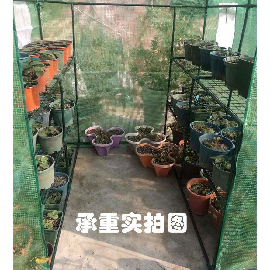 庭院小棚植物过冬肉冬季养简易花卉多家庭室暖外FLT花小暖房家用