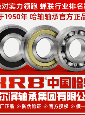 HRB哈尔滨轴承6700 6701 6702 6703 6704 6705 6706 6707 Z ZZ RS