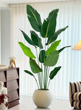 彷真绿色植物旅h人蕉室内高端轻奢装饰摆饰盆栽高品质彷生植物落