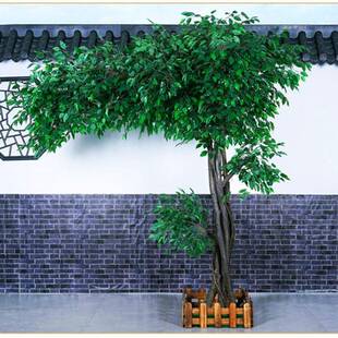 仿真榕10仿真大型物植树物装饰大厅实木树仿真绿榕树假植室内花树