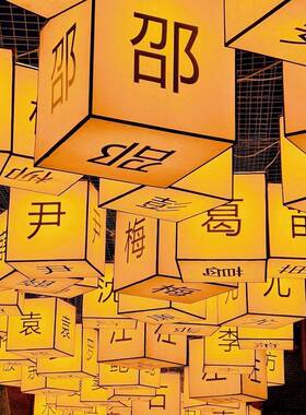 古笼风LYF灯方形家姓灯笼国潮百创意花灯户装外防水街道亮化饰