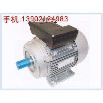 YL100L4系列双值电容单相电机/天/