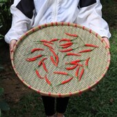 竹匾晾晒竹编筛子圆形手工竹簸箕有孔家用全竹青编织竹制品竹