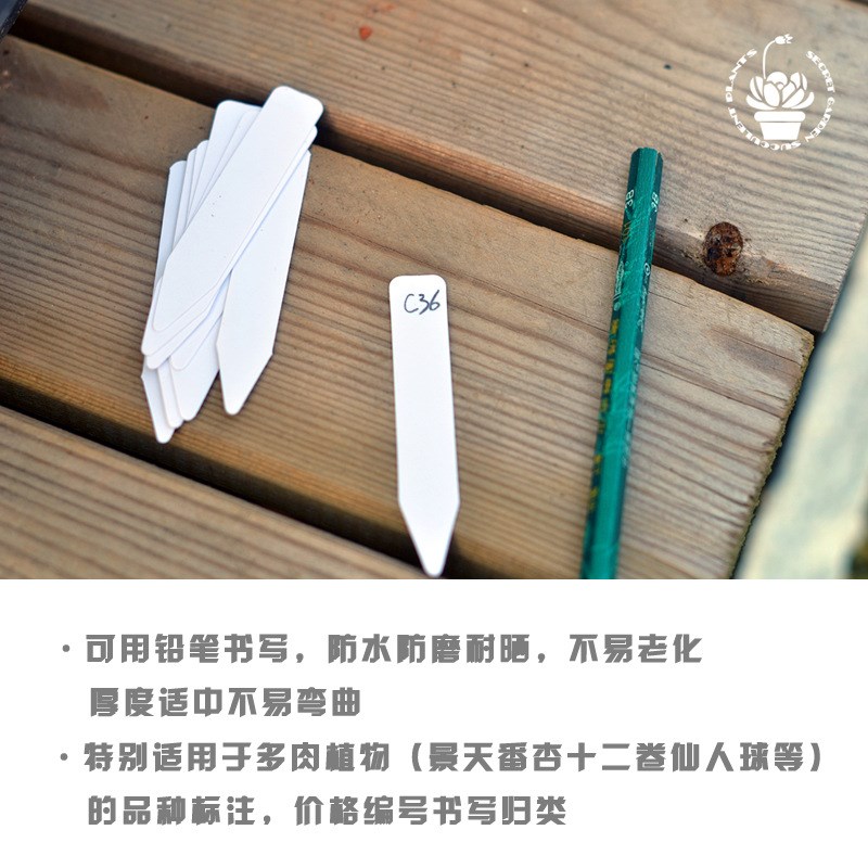 200只多肉植物标签多肉播种品名标注塑料防水一字直条园艺小插牌